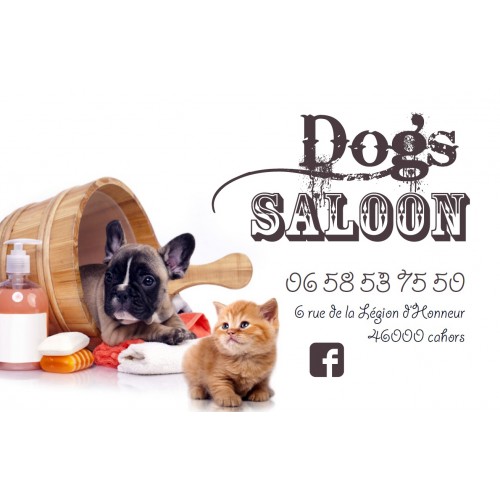 Détails : DOG'S SALOON, Salon de toilettage à Cahors, toilettage chien et chat à Cahors