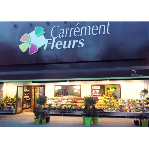 Détails : Fleuriste CARREMENT FLEURS Cahors, fleuriste à Cahors, fleurs en tout genre.